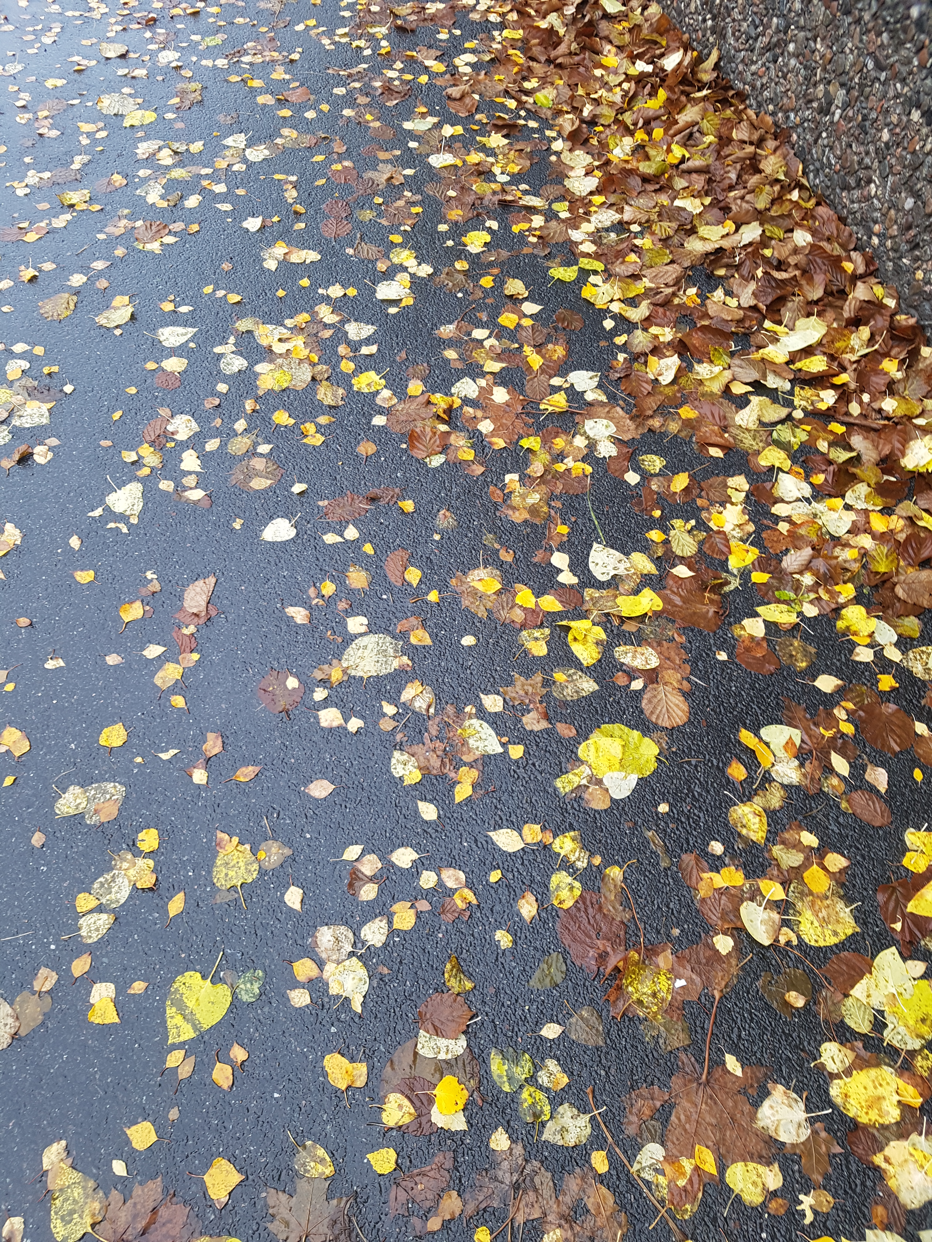 20191020_145352